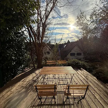 Cozy Studioapartment With Graden In Free Parking * Graz