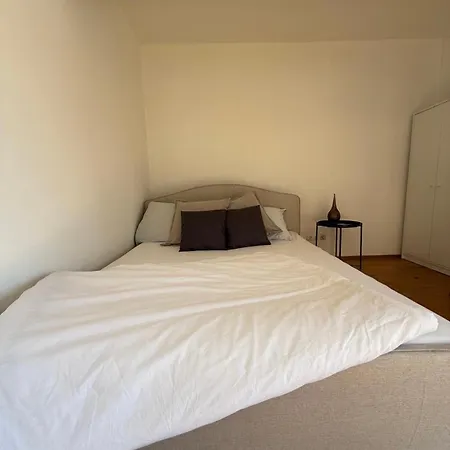 شقة Cozy Studioapartment With Graden In Free Parking غراتس