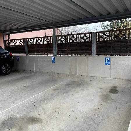 Appartement Cozy Studioapartment With Graden In Free Parking *